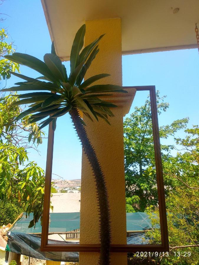 Room In Guest Room - Padrinos Hostal La Paz Full House Ngoại thất bức ảnh